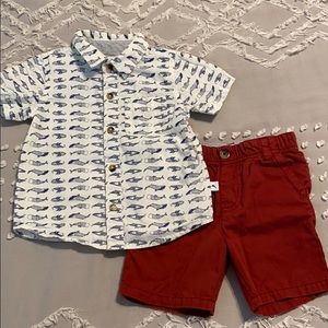 Whale 🐋 Tommy Bahama Boys Outfit
